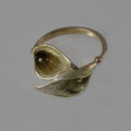 Organic gold ring